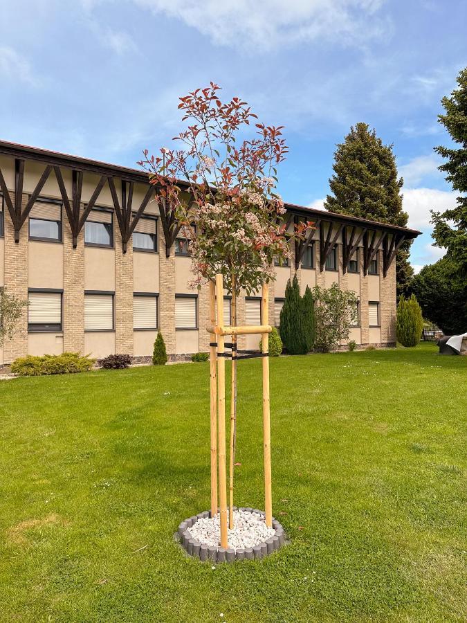 Milia Wine & Event Resort Dunajský Klátov المظهر الخارجي الصورة